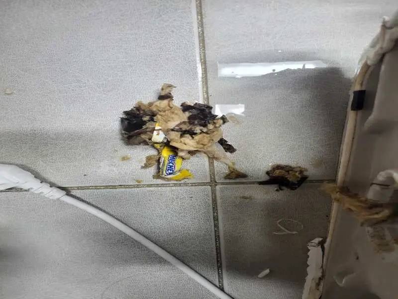 양천구 배관 이물질 제거 사례 4